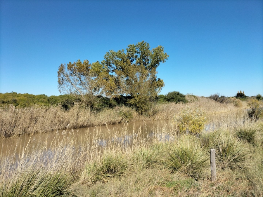 4 Bedroom Property for Sale in Bloemfontein Rural Free State